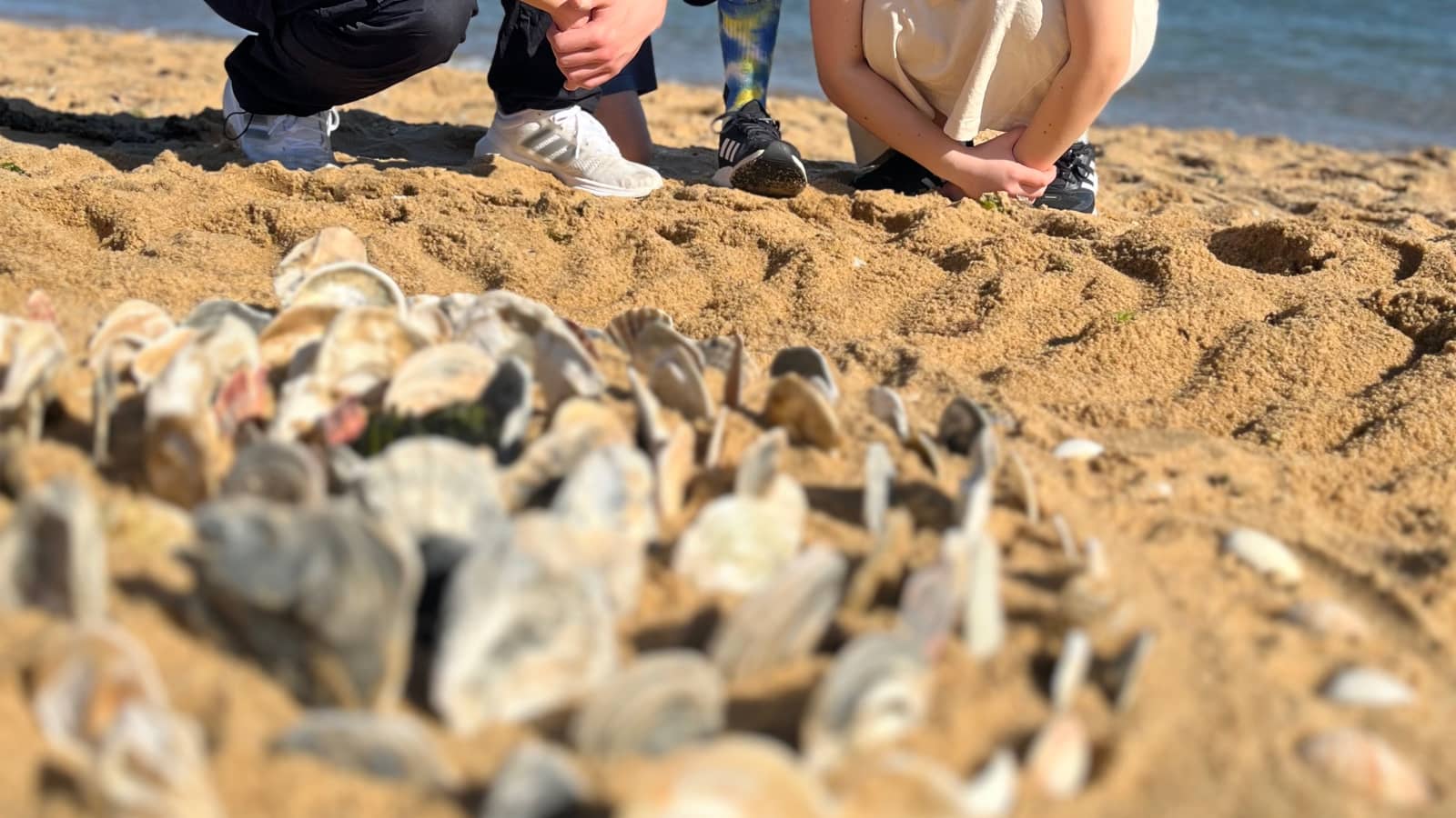 Sand, presence, and connection