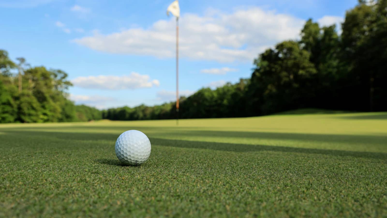 Golf Tournament , 4-Person Scramble at Avery Ranch Golf Club