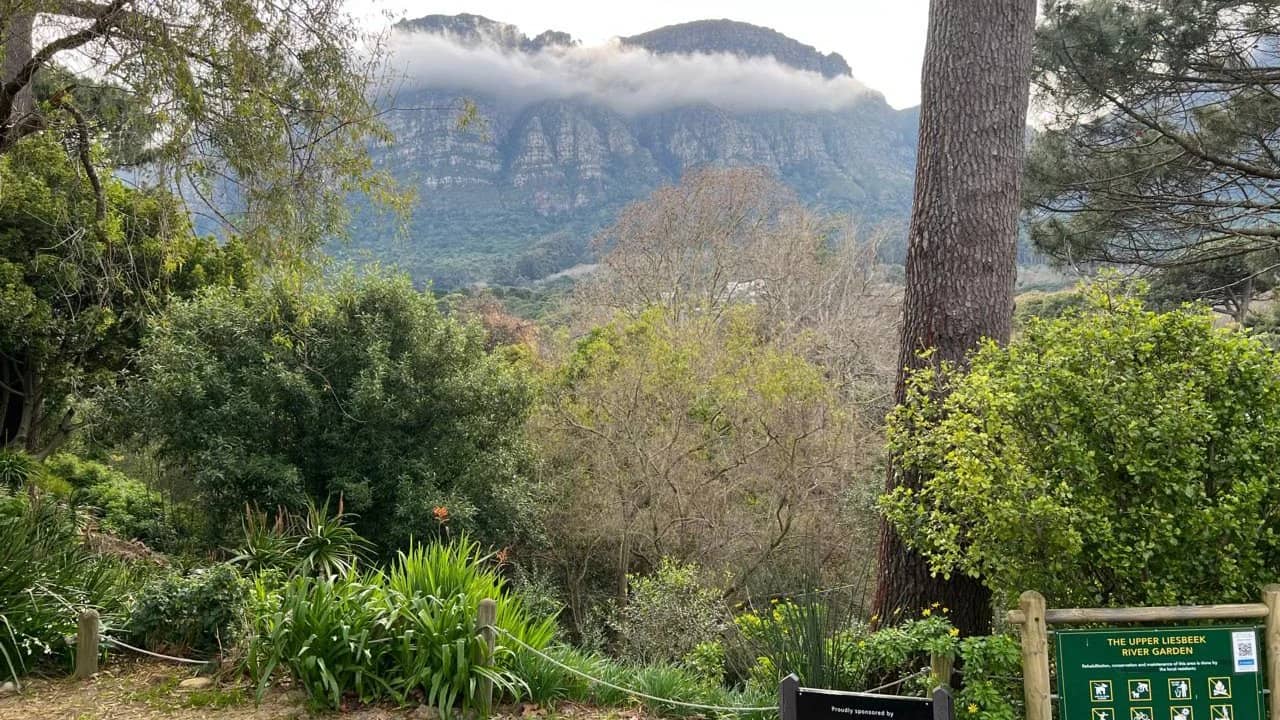 Liesbeek River Walk