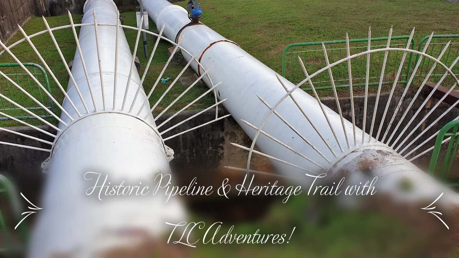 ** SG HISTORIC PIPELINE & HERITAGE TRAIL (PART 2) - QUEENSTOWN > BT TIMAH **