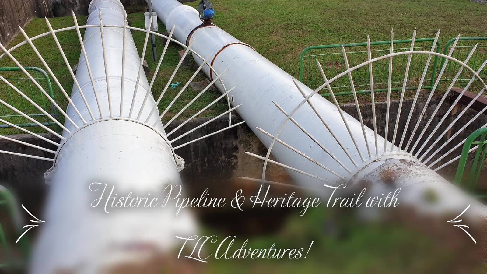 ** SG HISTORIC PIPELINE & HERITAGE TRAIL (PART 2) - QUEENSTOWN > BT TIMAH **