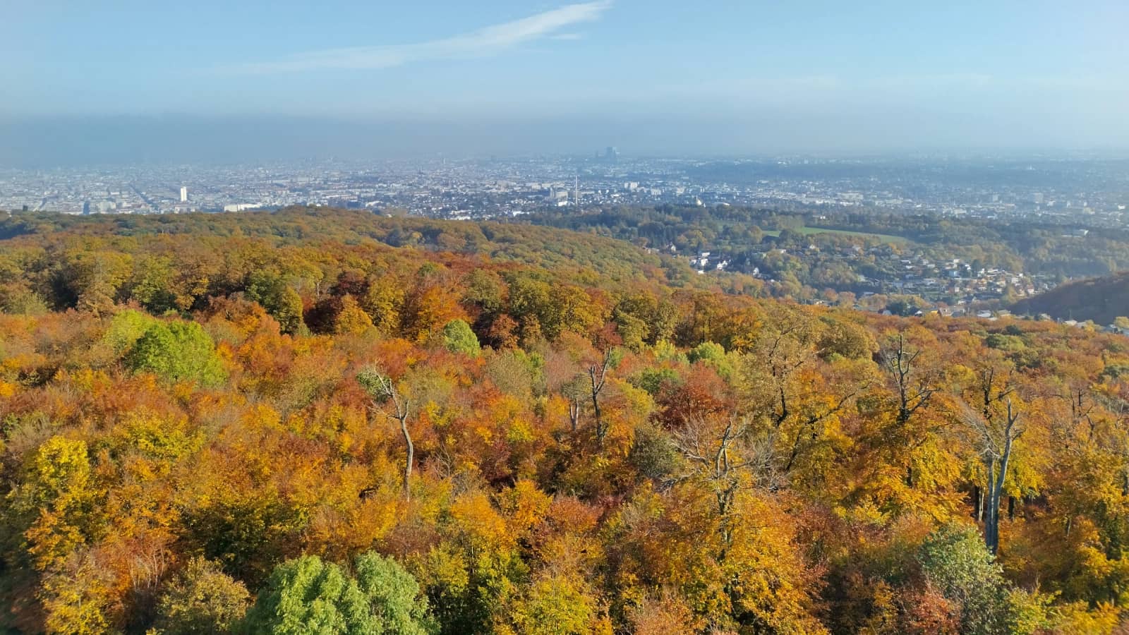 🍁Autumn Hike from Vienna 🌲