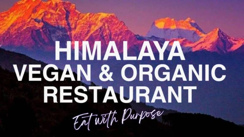 Dinner at Himalaya Vegan & Organic Restaurant