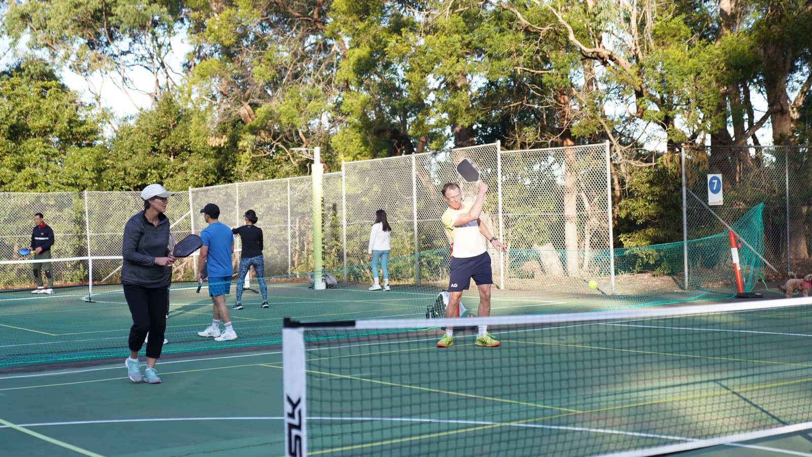BEGINNER Introduction to Pickleball at Pennant Hills Park
