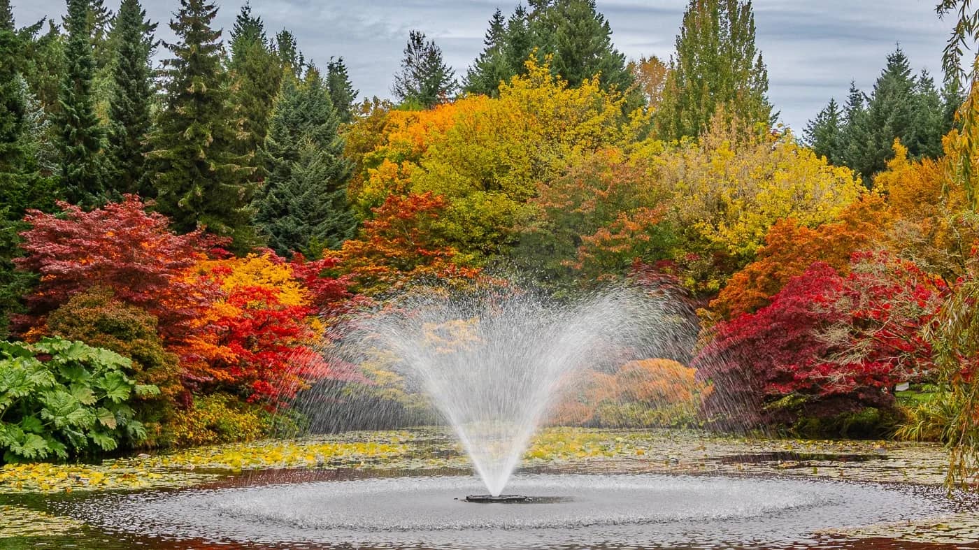 Fall through the lens at Van Dusen Gardens.