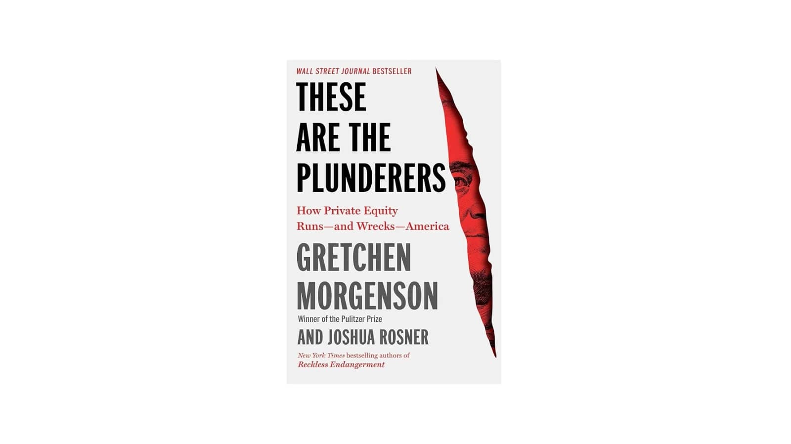 ‘These Are The Plunderers’ by Morgenson & Rosner (2023)