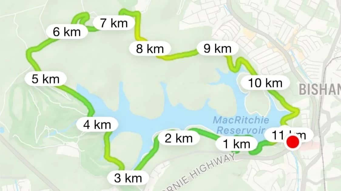 MacRitchie Reservoir Sunday Run
