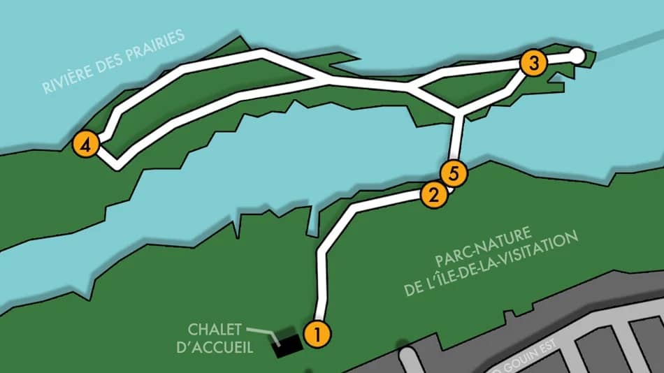 Sunday Walk: Île de la Visitation