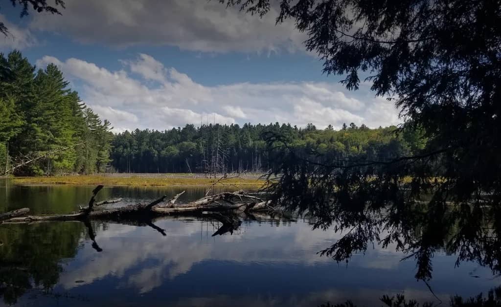 Silent Lake Shoreline Loop Hiking
