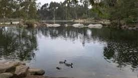Culver City Park to Kenneth Hahn Loop