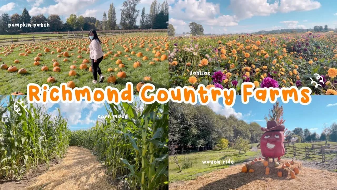 Saturday Social: Pumpkin Patch