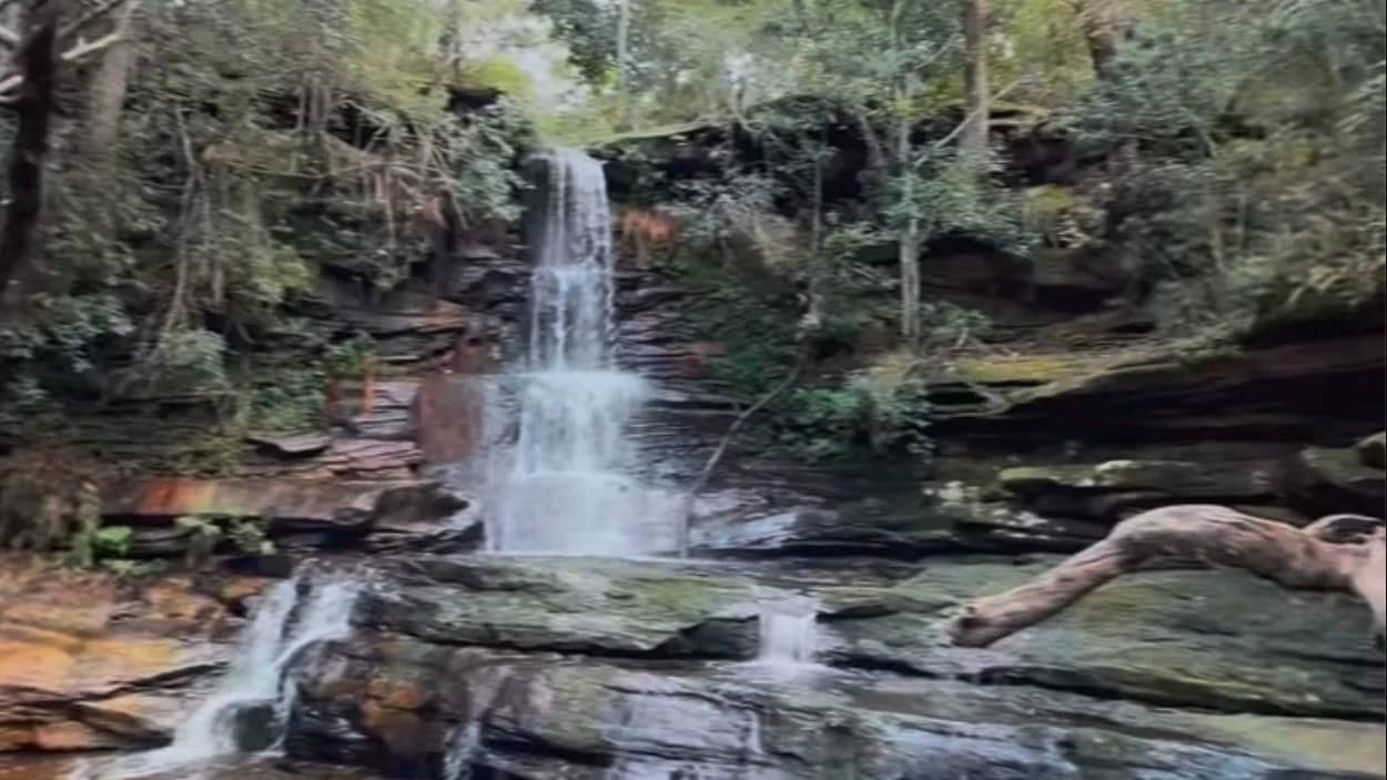 🌸🌸ALLENBY FALLS🌸MANLY DAM🌸FAIRLIGHT BEACH🌸MANLY COVE🌸🌸