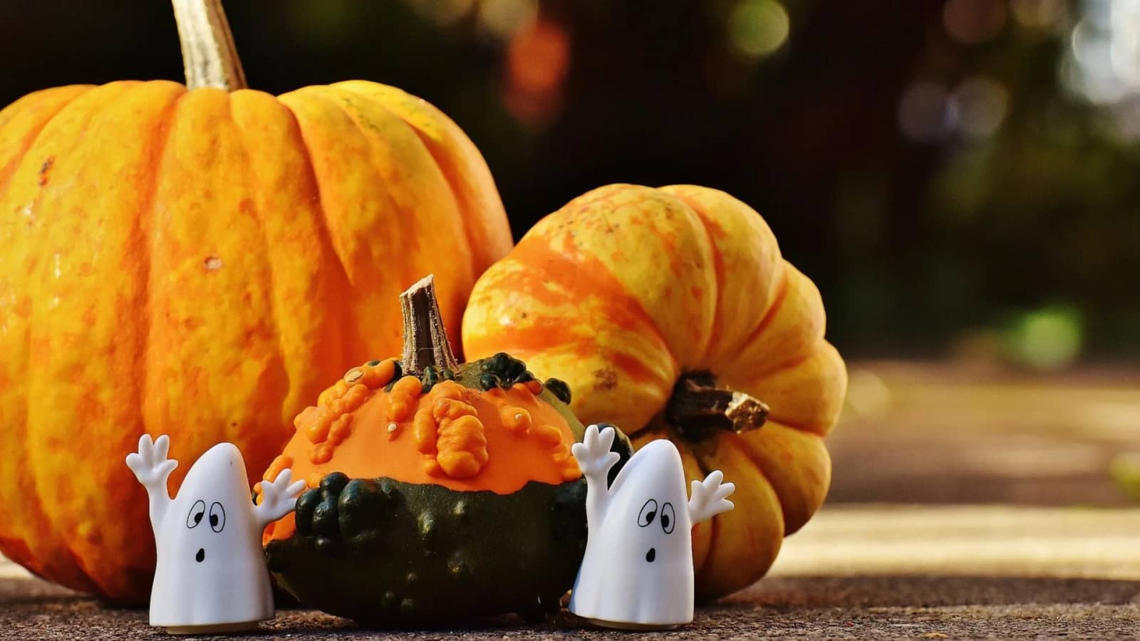 🎨🖌Paint & Sip "Halloween 🎃🦇" in Shibuya 東京でペイント&ワイン 「ハロウィン 👻」