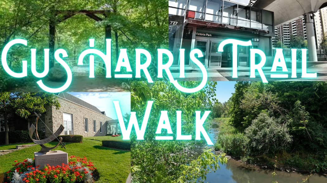 ππ³ Fall Walk: Gus Harris Trail π³π