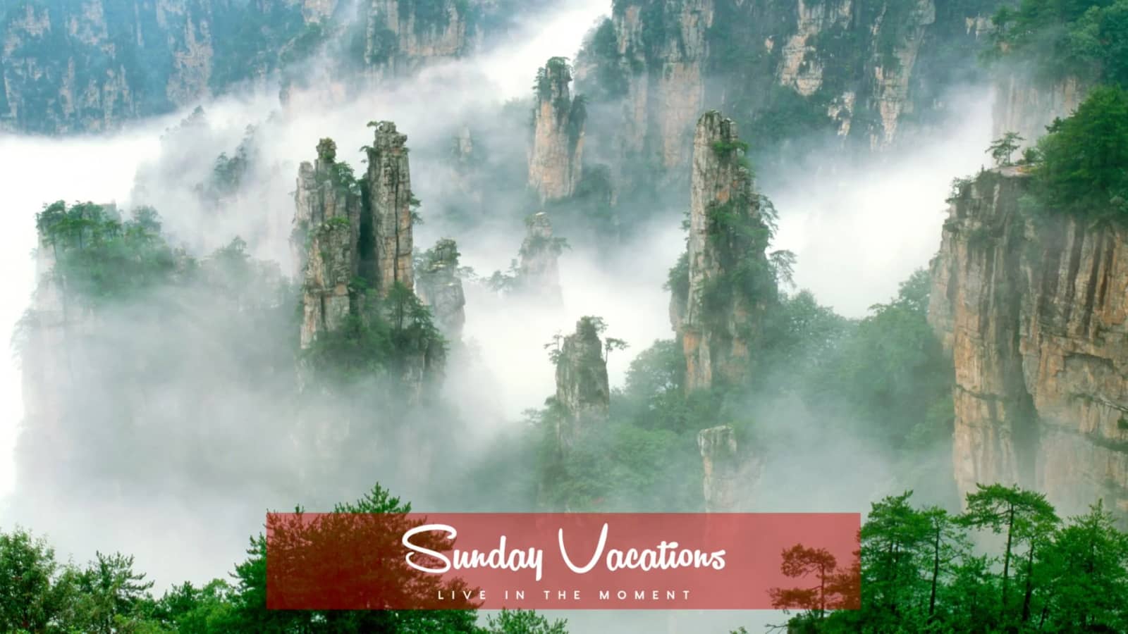 🇨🇳 From Pandas to Pandora: Discover a China Beyond Imagination