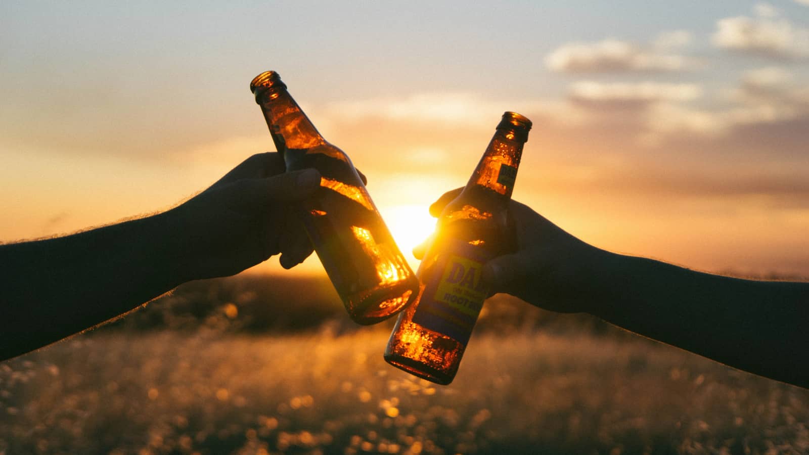 Elixir Beers July 2026