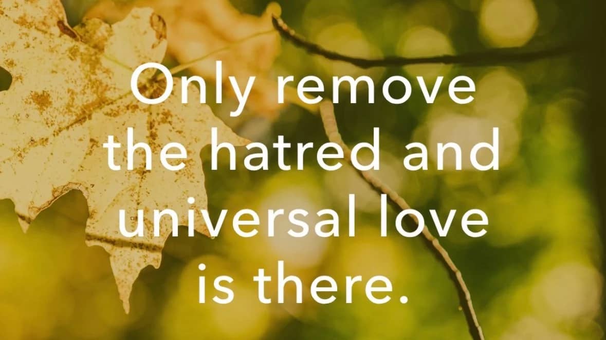 Heartfulness meditasjon Torshov