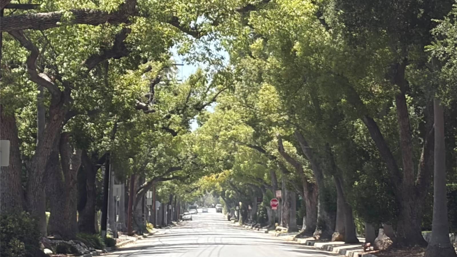 Curious Walks (in Pasadena, CA)