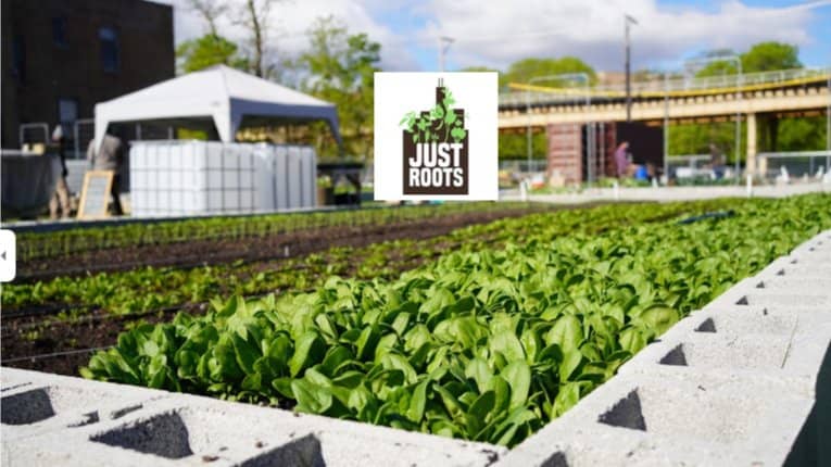 Urban Farm Volunteer Day: Just Roots in South Loop