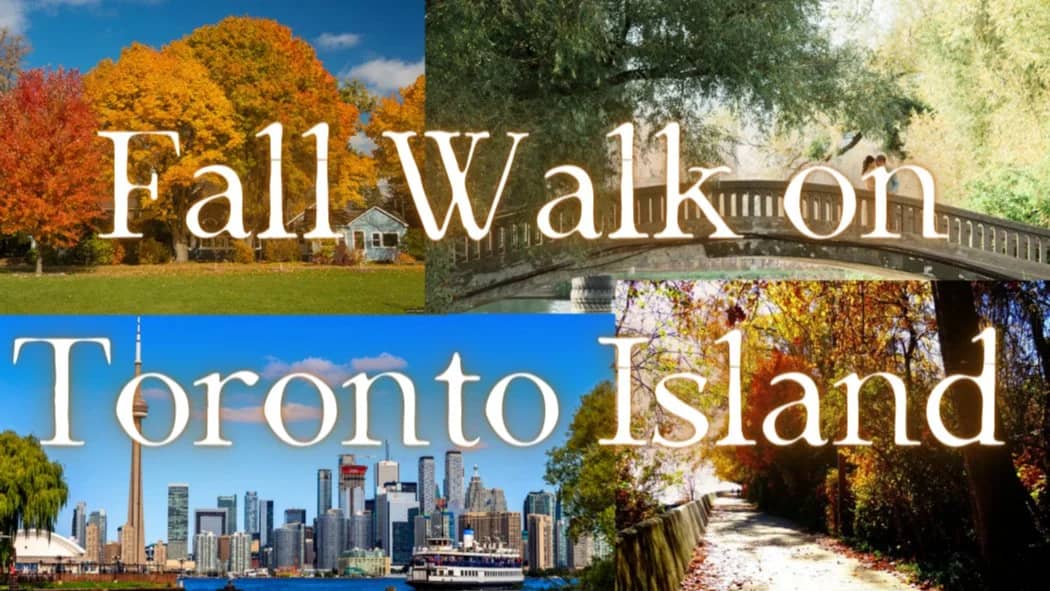 π Fall Walk of Toronto Island ππ! 9KM