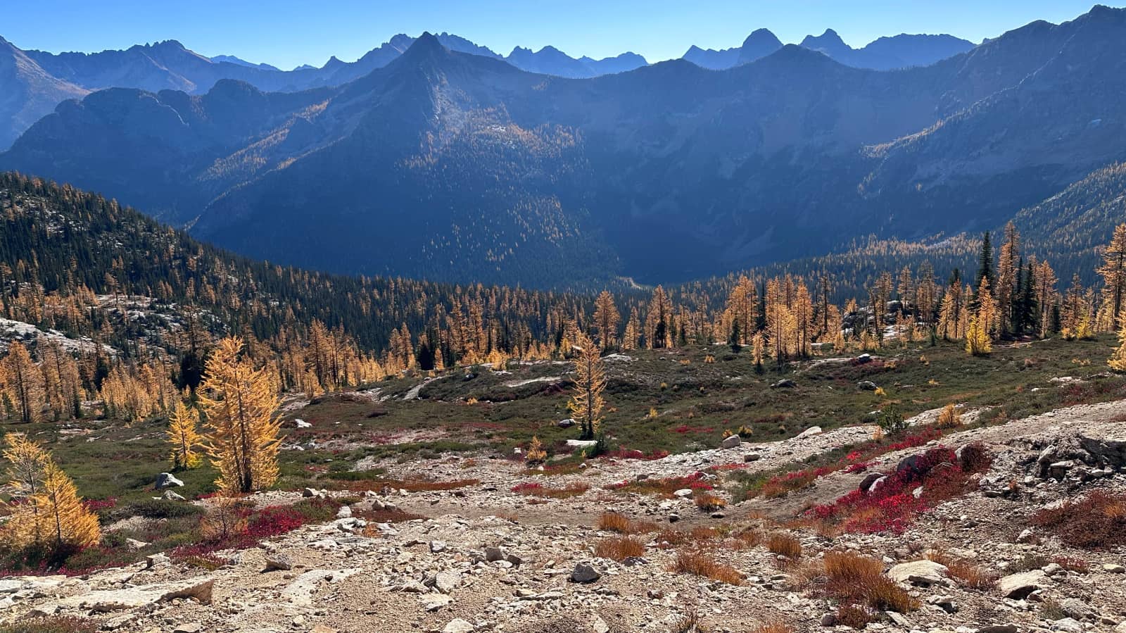 Larches at Cutthroat pass and Snowy Lakes(optional)
