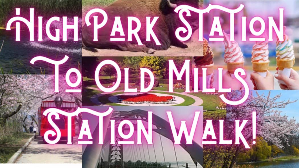 ๐ณ๐ HIGH PARK TO OLD MILL ADVENTURE - Stop at Tom's Dairy Freeze - 12KM๐ฆ๐ถโโ๏ธ