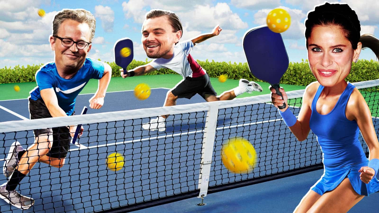 Pickleball for Pickleball, Business and Investment Enthusiasts