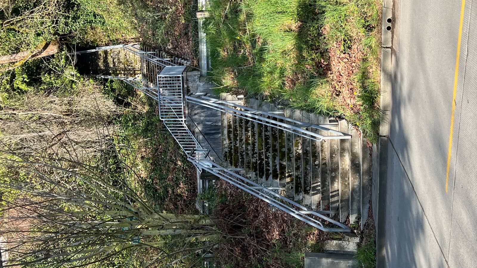 Leschi Stair Walk - Day Walker #4