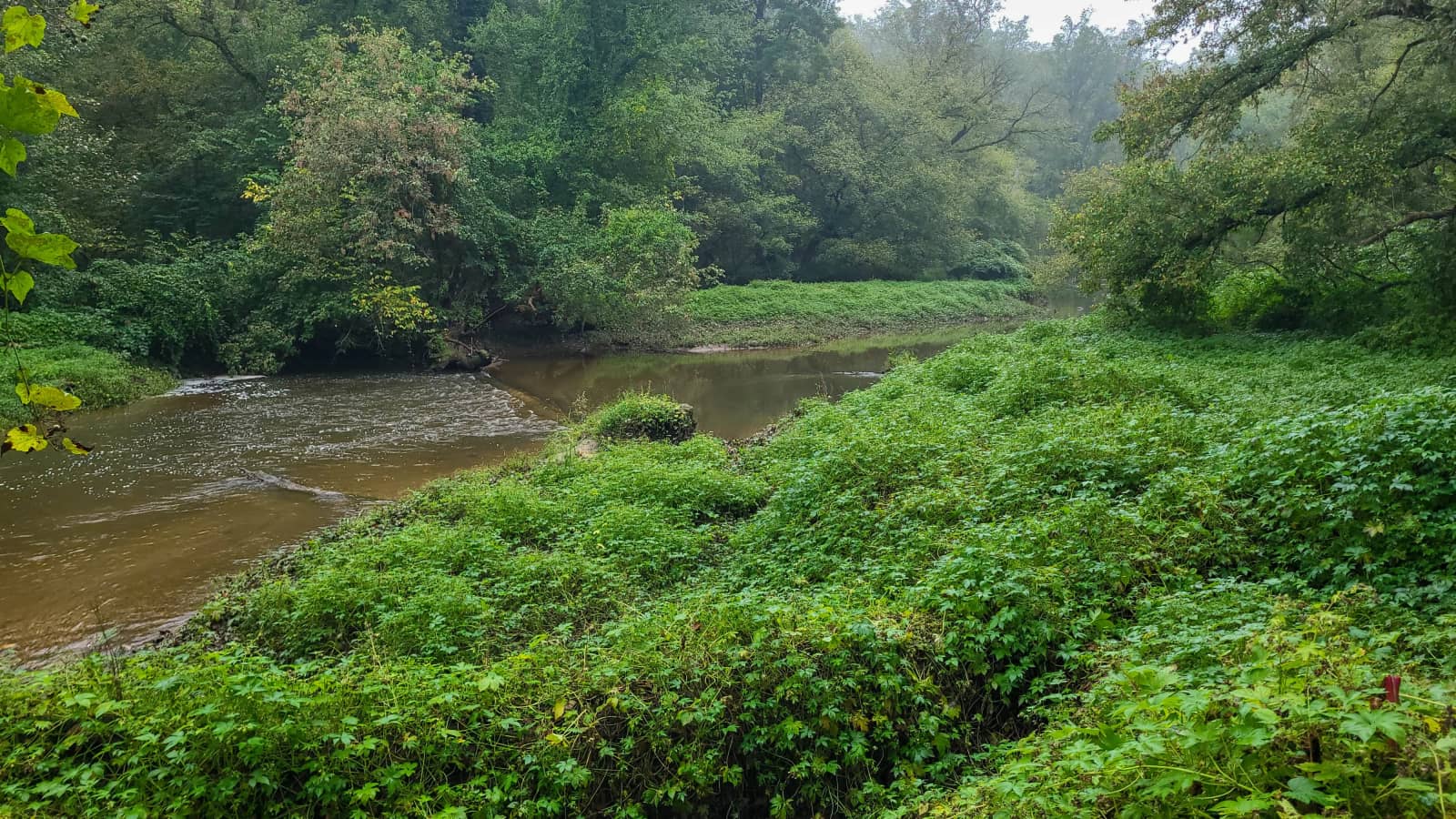 Middle Rock Creek, a 6.0 Mile Moderate Hike