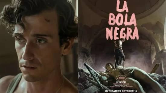 La bola negra