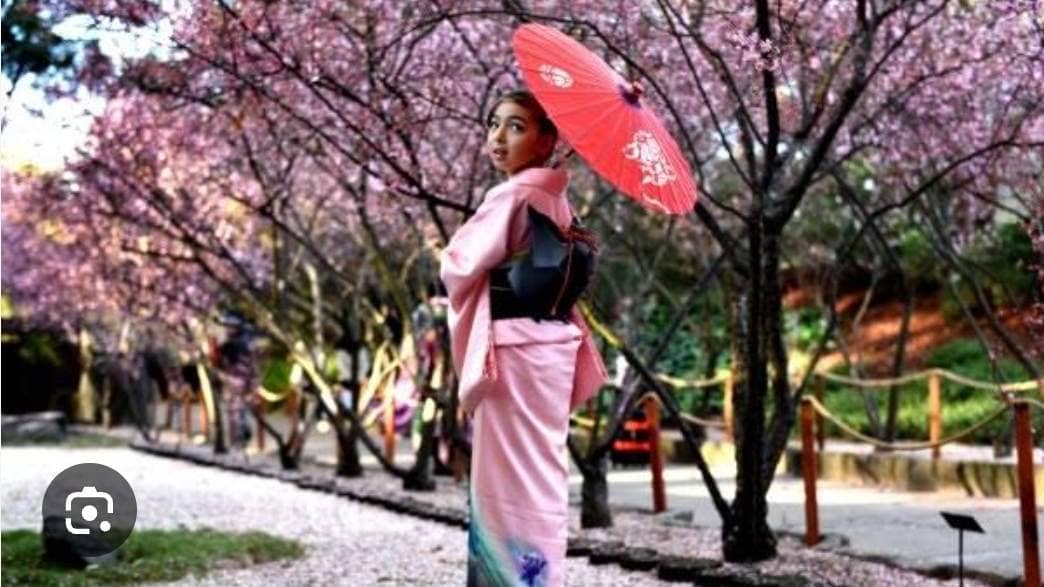 Cherry blossom festival