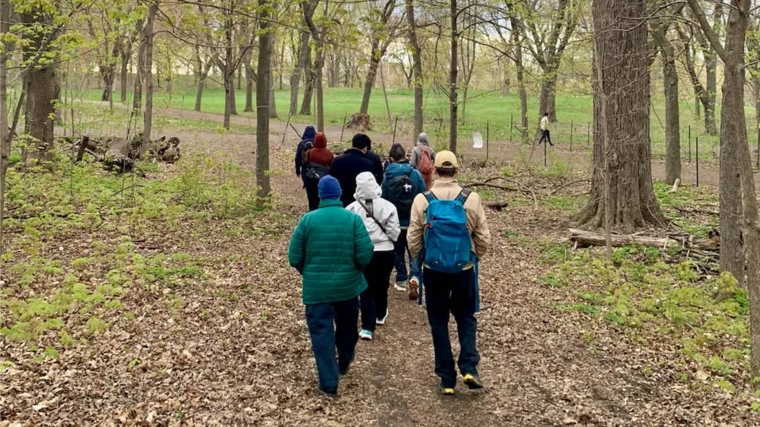 *SPECIAL* Nature Therapy Walk with Moire