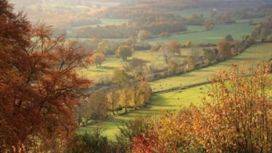 WALK: Witley to Godalming : The Surrey hills 🦔🦊🍂🍄
