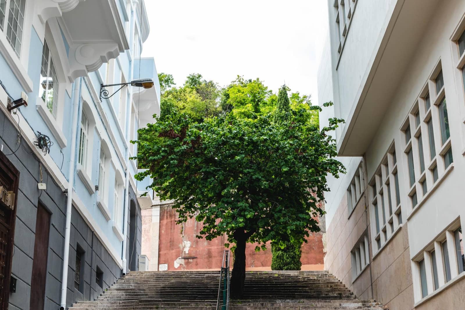 Putting Down Roots/Criar Raízes