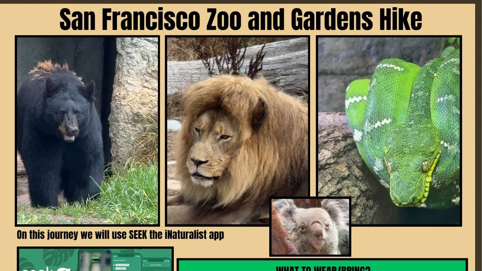 San Francisco Zoo & Gardens Group Hike