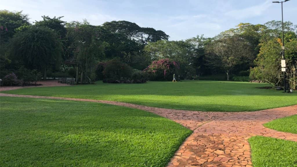 Saturday Morning Outdoor Yoga (Beginners) @ Botanic Gardens