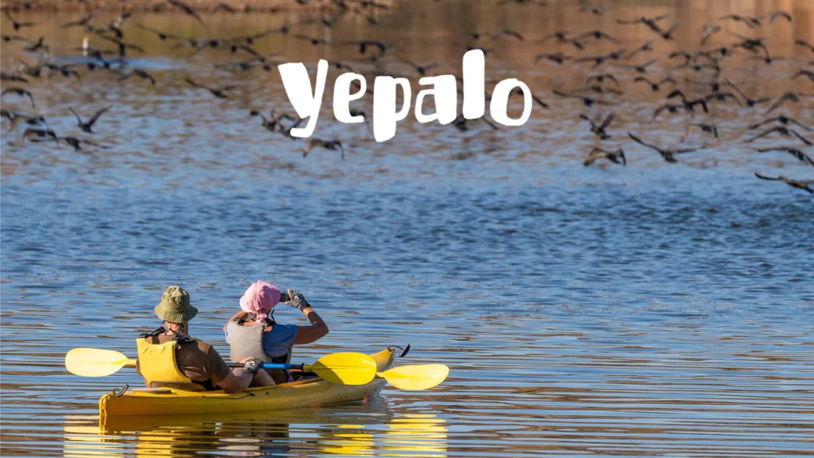 🛶🦅 Ornitokayak @Costa Brava: Nature, Birds & Kayak/ aves y kayak en l'Empordá