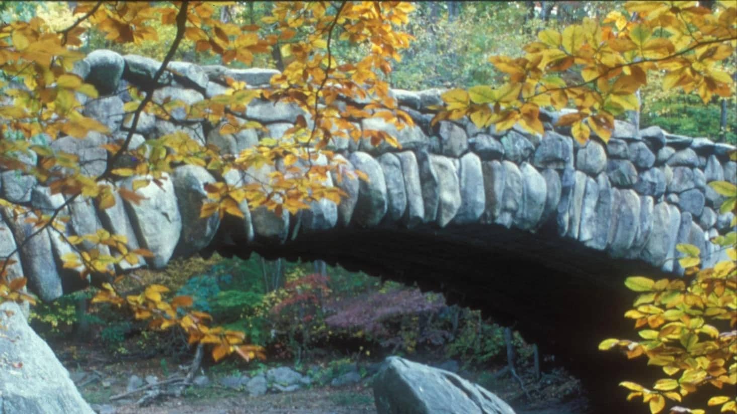 Rock Creek Park NORTH (Rating: C)
