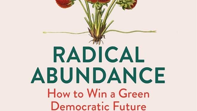 Radical Abundance Book Chat