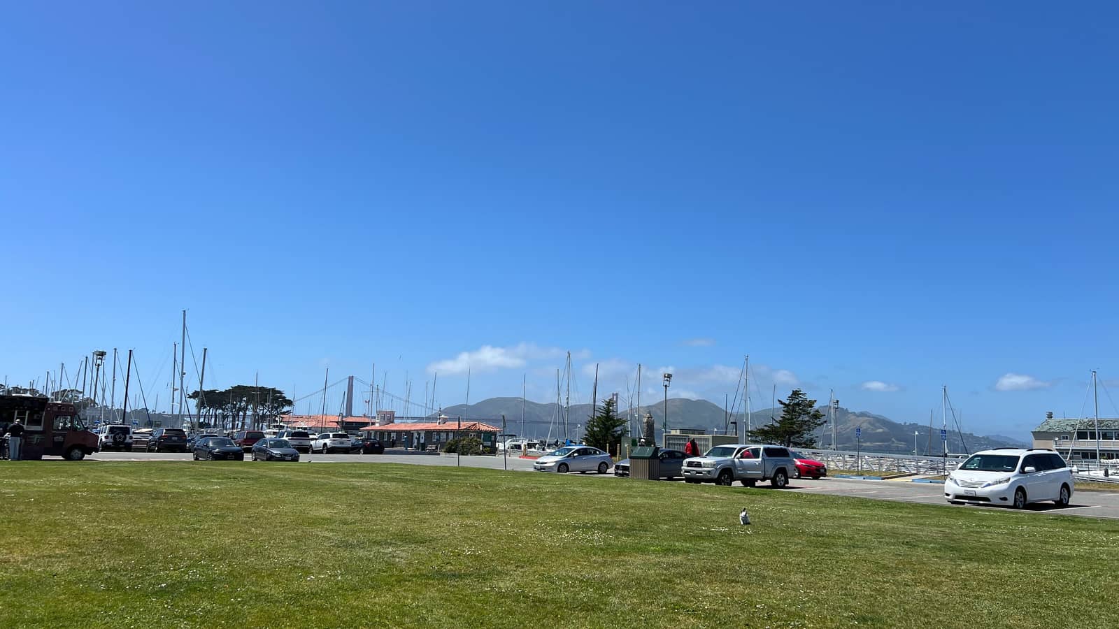 First Friday Yappy Hour at Marina Green