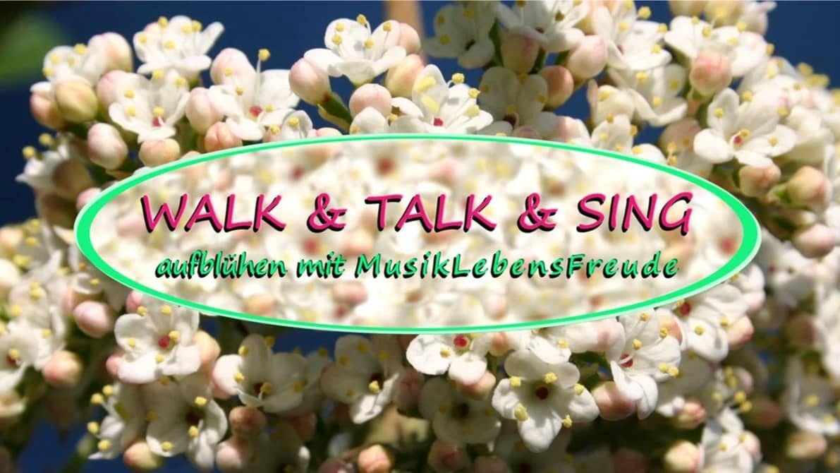 WALK & TALK & SING am Donaukanal