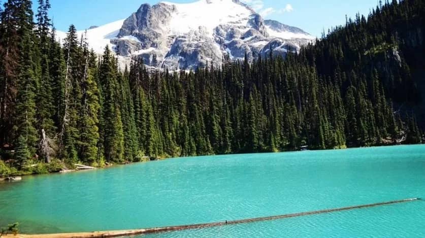Joffre Lake Hiking Day Pass is prepared
