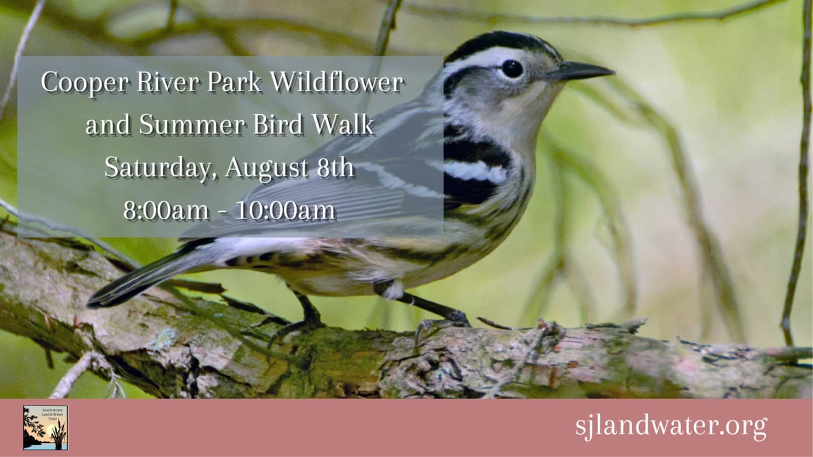 Wildflower Walk at Cooper River