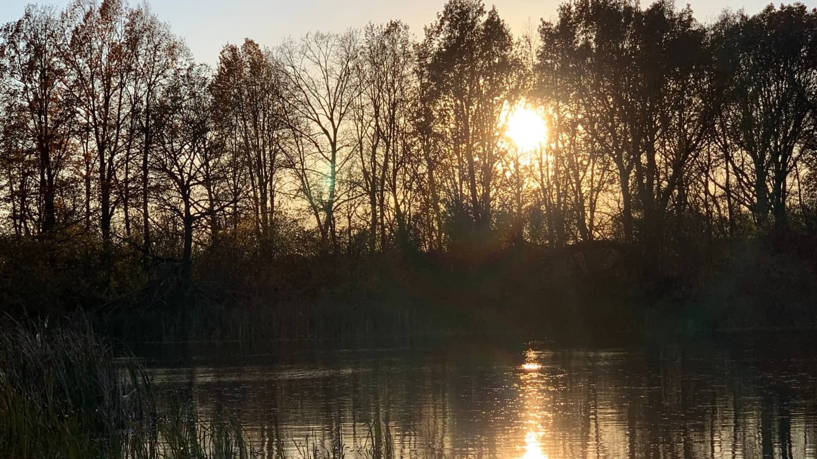 October Evening Walk