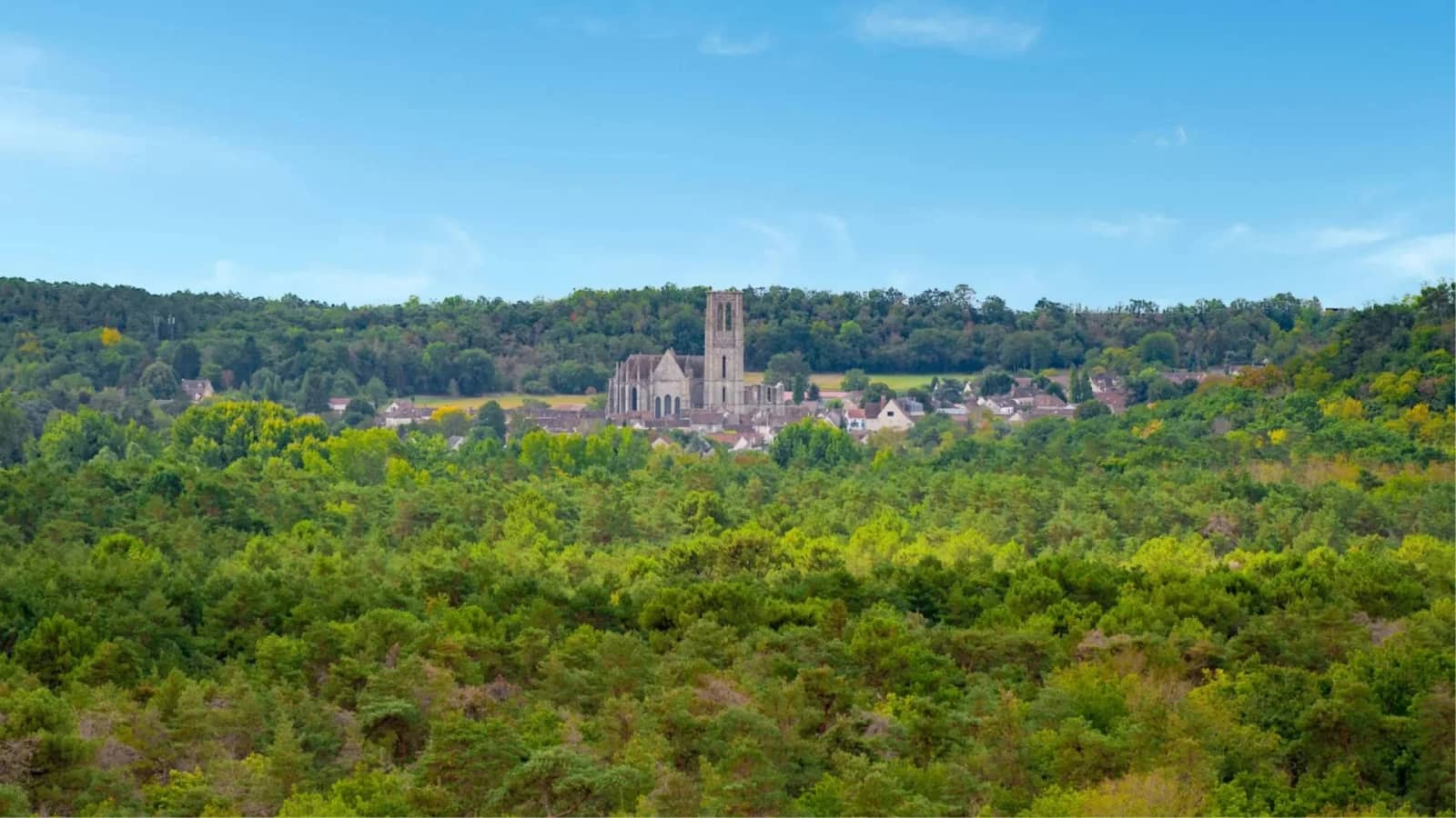 Rando #53 : 27km dans la forêt de la Commanderie (77)