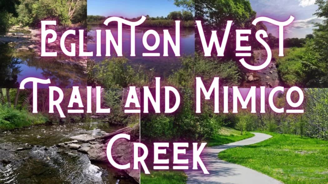 π³πΆββοΈ Eglinton West Trail & Mimico Creek + Swiss Chalet π! 12KM