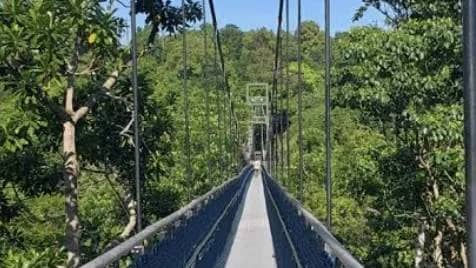 ๐ฟ Windsor Nature Park to TreeTop Walk๐ฅพ