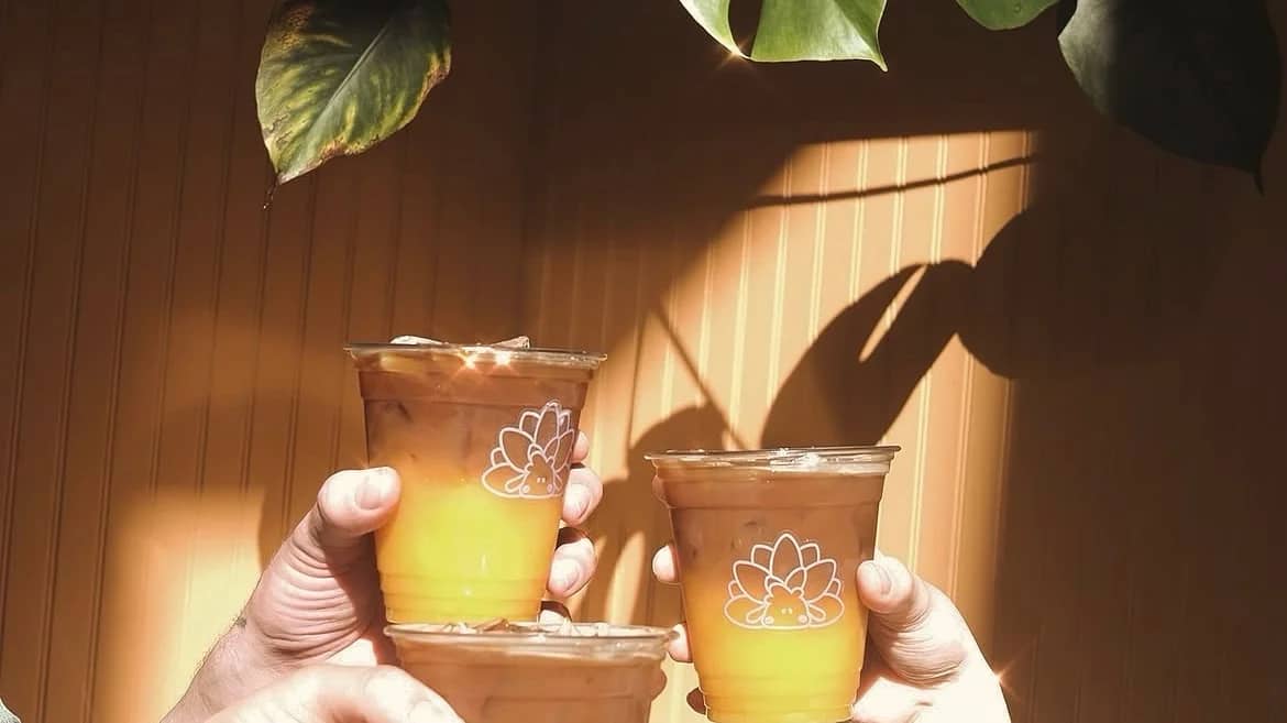 Coffee & Connect at Nudi Branch Coffee!