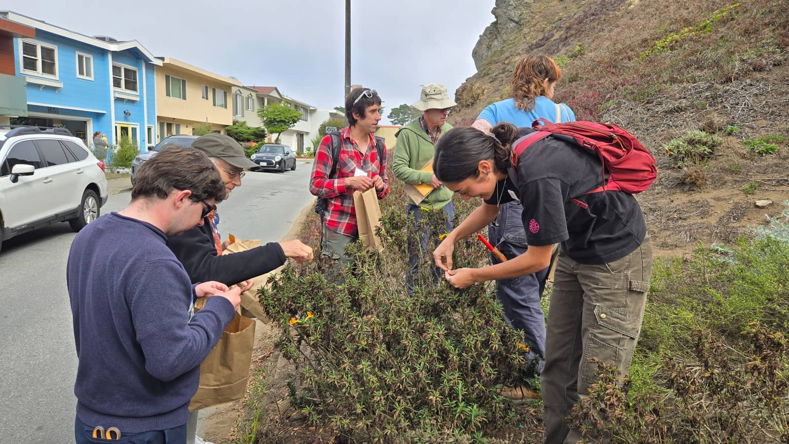 Green Hairstreak Corridor: Seed Collecting Workshop & Walk