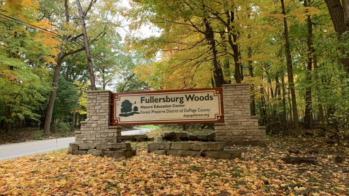 Fullersburg Woods Hike
